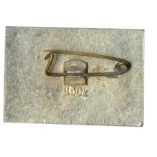 Значок Иркутск (реверс)