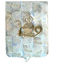 Значок Волгоград (вид 2)