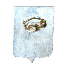 Значок Новгород (вид 2)