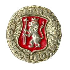 Значок Золотое кольцо — Владимир