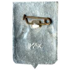 Значок Боровичи (вид 2)