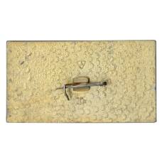 Значок Владимир (вид 2)