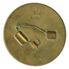 Значок Букашка и фонарик (вид 2)