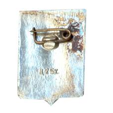 Значок Крестцы (вид 2)