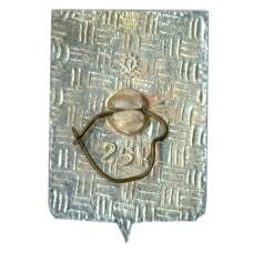 Значок Мончегорск (вид 2)