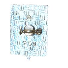 Значок Саратов (вид 2)