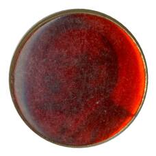 Значок В.И. Ленин