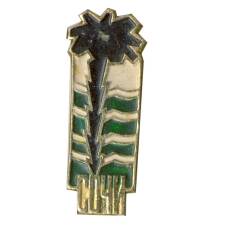 Значок Сочи