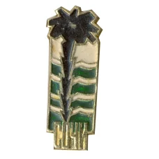 Значок Сочи (аверс)