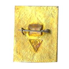 Значок Владимир (вид 2)