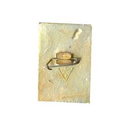 Значок Владимир (вид 2)