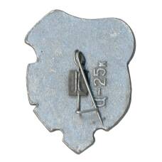 Значок Иркутск (вид 2)