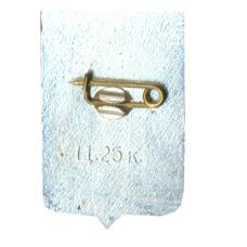 Значок Новгород (вид 2)