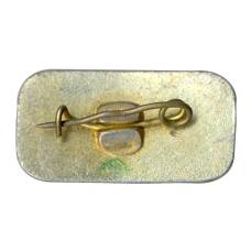 Значок Сочи (вид 2)