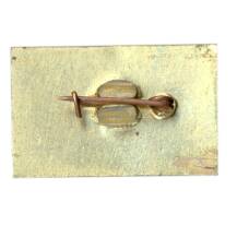 Значок Горки (вид 2)