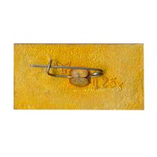 Значок Черкассы (вид 2)