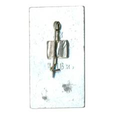 Значок Донецк (вид 2)