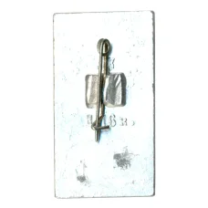 Значок Донецк (вид 2)