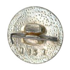 Значок Иркутск (вид 2)