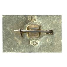 Значок Хоста-курорт (вид 2)