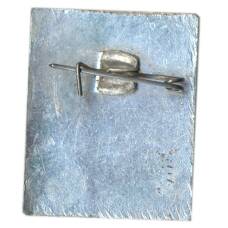 Значок Учусь плавать (вид 2)