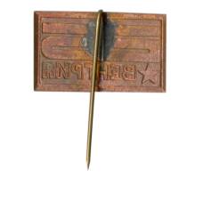 Значок Венгрия — 25 лет образования (вид 2)