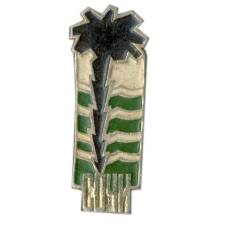 Значок Сочи