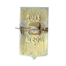 Значок Пошехонье (вид 2)