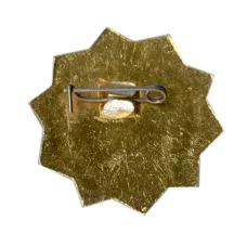 Значок ОСВОД РСФСР (вид 2)