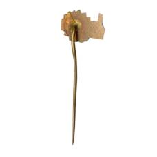 Значок IS (вид 2)