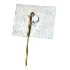 Значок VITENAI (Литва) (вид 2)