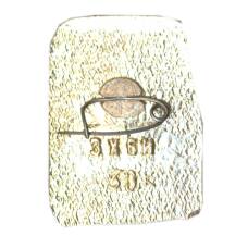 Значок Рудаки (вид 2)