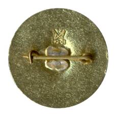 Значок Международное экономическое объединение Домохим (вид 2)