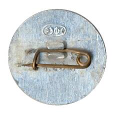 Значок Ростов — на — Дону (вид 2)