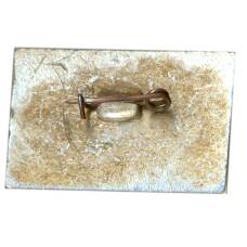 Значок Москва — Сельскохозяйственная выставка 1966 (вид 2)