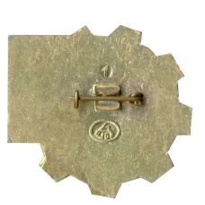 Значок 50 лет (вид 2)