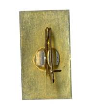 Значок Горький (вид 2)