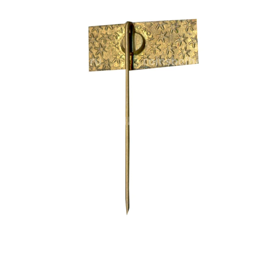 Значок 20 мен (вид 2)