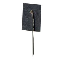 Значок Райнис (вид 2)