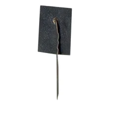 Значок Райнис (вид 2)