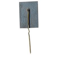 Значок Райнис (вид 2)