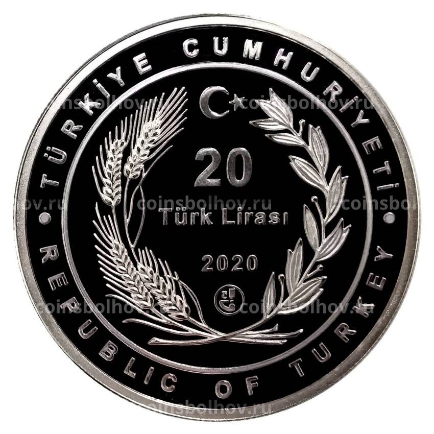 Монета 20 лир 2020 года Турция — 100 лет Агентству «Анадолу» (вид 2)