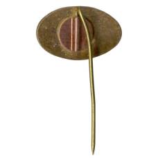 Значок Казанский химзавод ТАСМА (вид 2)