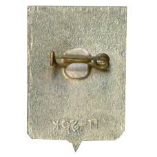 Значок Боровичи (вид 2)