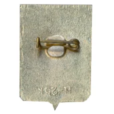 Значок Боровичи (вид 2)