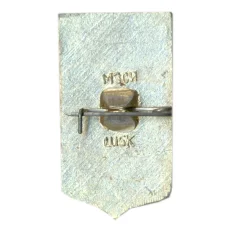 Значок Пенза (вид 2)