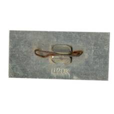 Значок Ярославль (вид 2)