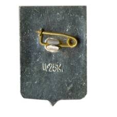 Значок Боровичи (вид 2)