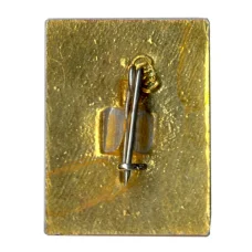 Значок Владимир (вид 2)