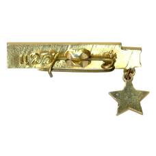 Значок Севастополь (вид 2)